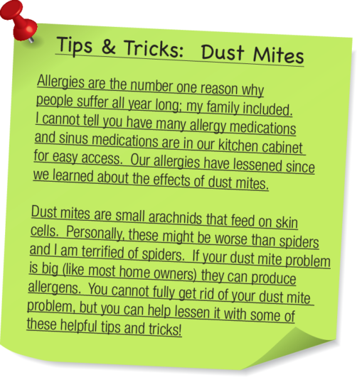 tip-and-tricks-dust-mites-e1465504893711