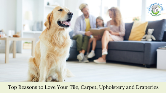 Top Reasons to Love Your Tile, Carpet, Upholstery and Draperies