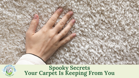 5 Spooky Secrets Your Carpet Is Keeping From You