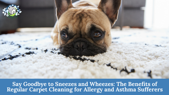 Say Goodbye to Sneezes and Wheezes: The Benefits of Regular Carpet Cleaning for Allergy and Asthma Sufferers